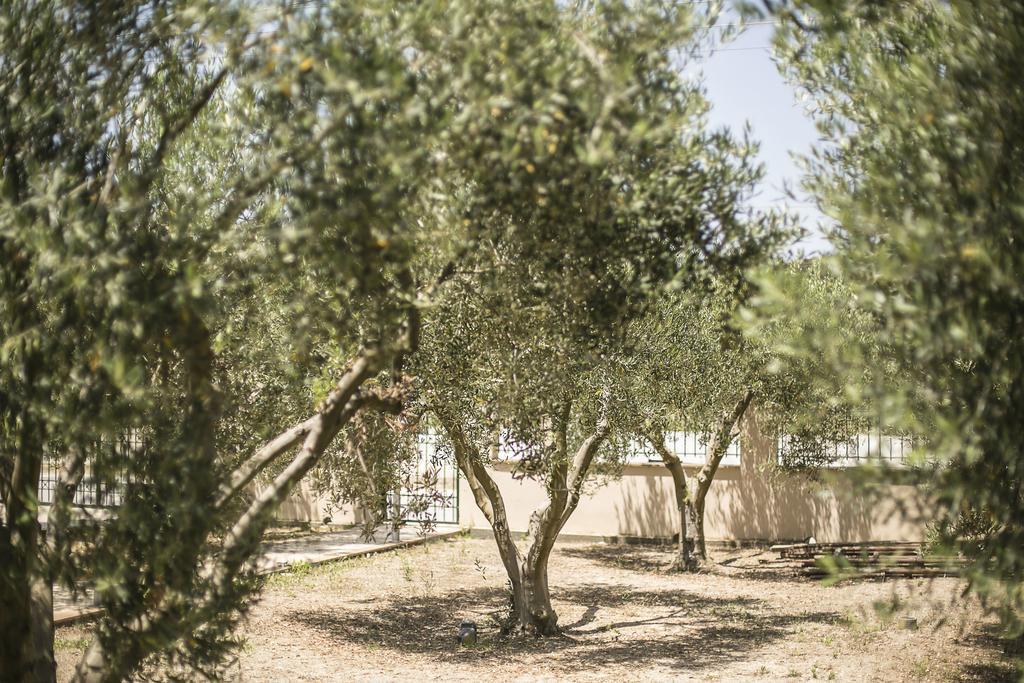 Olive Tree Apartments Fourka Extérieur photo