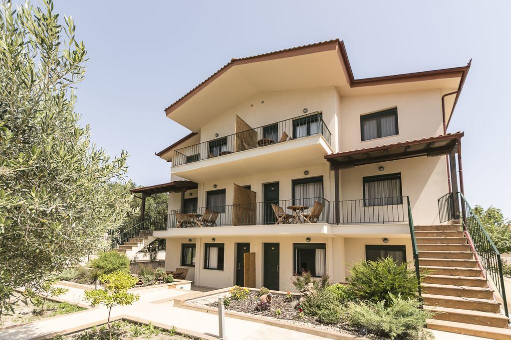 Olive Tree Apartments Fourka Extérieur photo