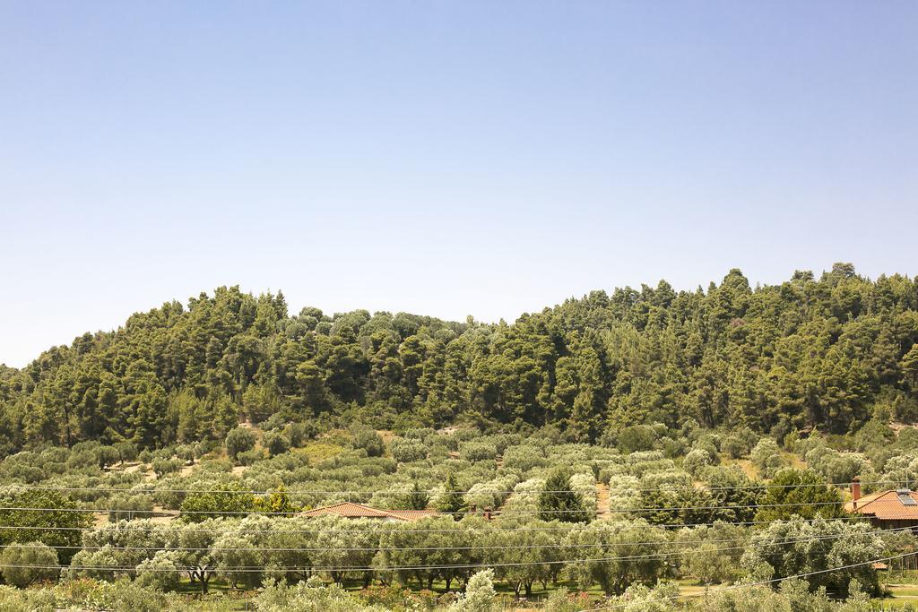 Olive Tree Apartments Fourka Extérieur photo